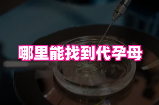 东莞助孕网站 3
