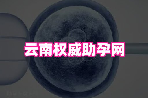 东莞助孕网站 4